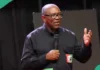 Obidient Movement Speaks on Peter Obi’s Possible Return to PDP as Party Zones Presidency to South