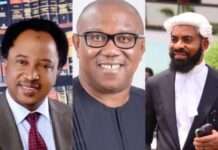 Peter Obi: Shehu Sani Cautions Deji Adeyanju  & Other Social Media Commentators
