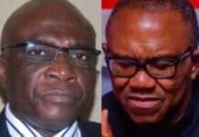 Atiku’s Aid Slams Bayo Onanuga for Mocking Peter Obi’s Economic Knowledge