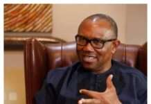 Peter Obi Joining ADC Would Be Best Christmas Gift for Nigerians — Akuma