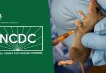 Lassa fever claims 215 Nigerians in 2025 – NCDC