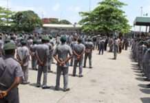 Ogun Customs intercepts guns, ammunitions, others worth N721m in January