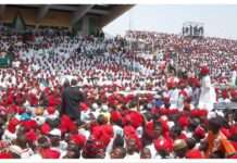 Kano by-elections: Kwankwasiyya defends support for children of deceased lawmakers