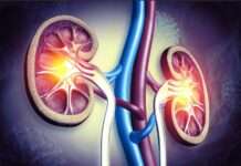 Breakthrough Study Suggests Monthly Infusion Could Replace Daily Drugs for Kidney Transplant Patients