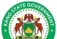 Kano State approves N99m to fight rabies