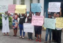 Women raise alarm, allege illegal loggers, armed men take over of Ekuri forests