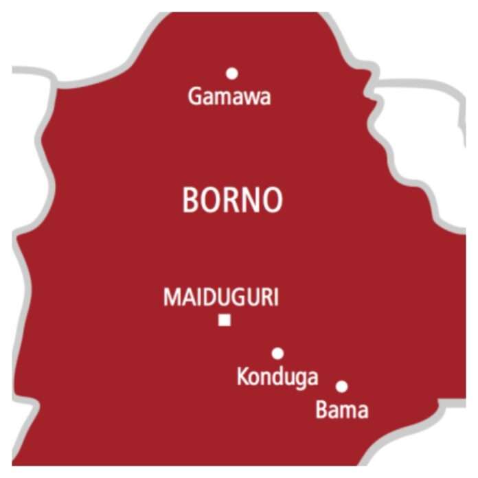 Borno-map.jpg