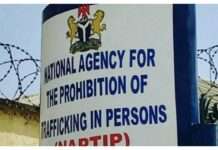 Human trafficking: We’ve received not less than 100 victims, 70 suspects