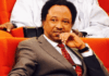Iran: History will remember Sánchez – Shehu Sani