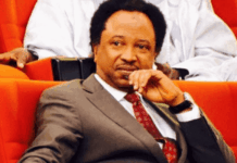 Iran: History will remember Sánchez – Shehu Sani