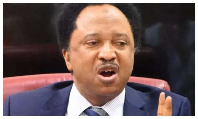 Shehu-sani.jpg