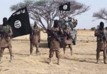 ISWAP terrorists execute Nigerian police officer, two CJTF members