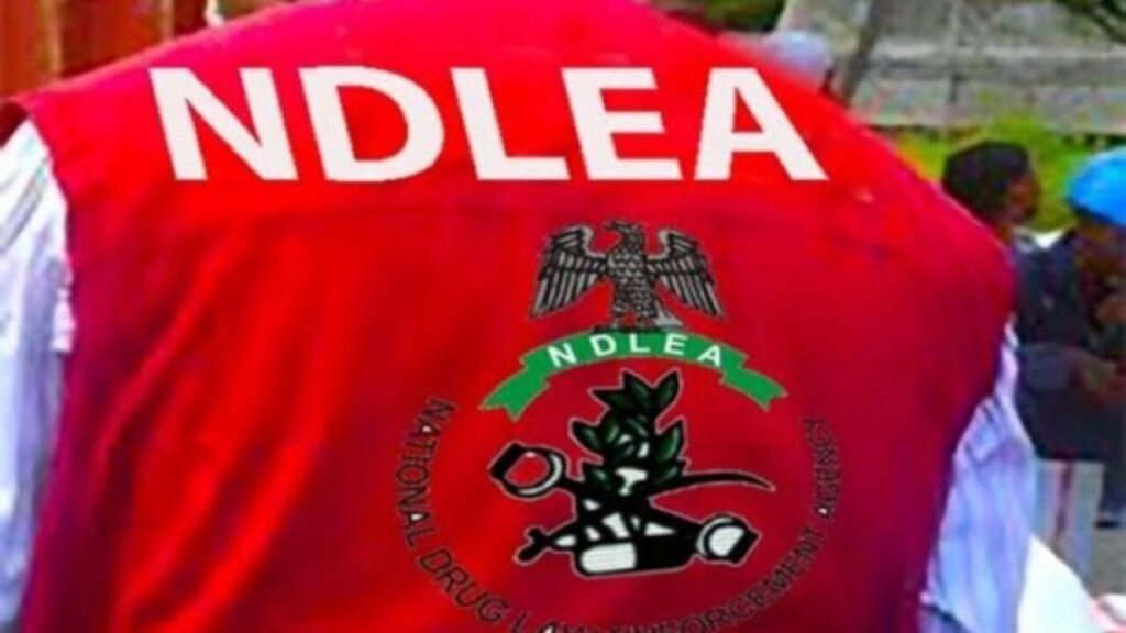 NDLEA 1 1024x576