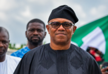 Why I Stopped Supporting Peter Obi – Ex-Obidient Spotted Wearing Tinubu’s Cap Speaks Out