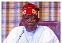 Tinubu appoints new Special Adviser on Power